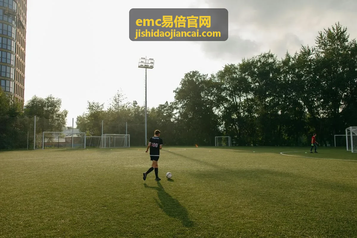 美缝剂施工效果与颜色选择与emc易倍官网